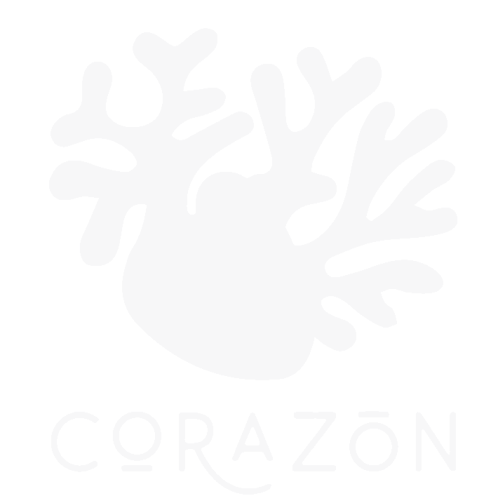 Casa Corazón MX